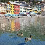 San Lorenzo 21